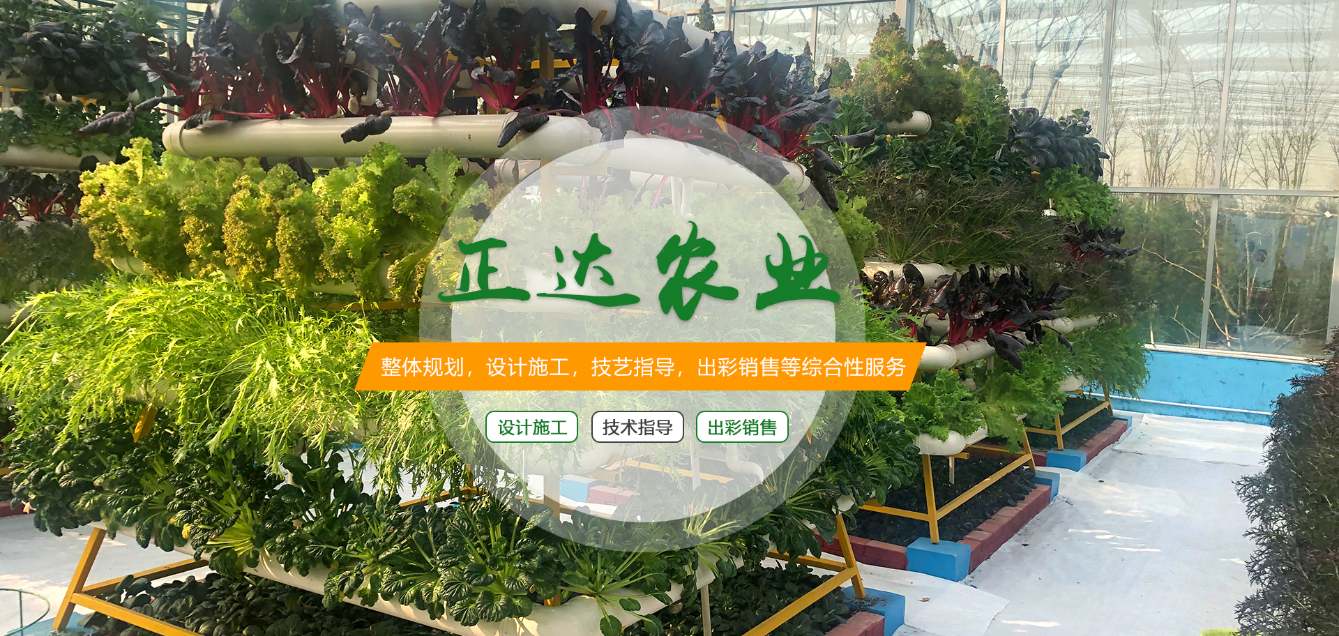 山東創(chuàng)跡膜結(jié)構(gòu)工程有限公司